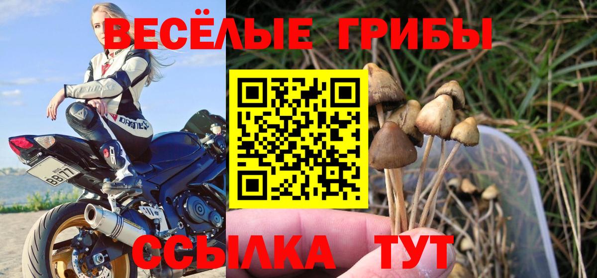 Псилоцибиновые грибы мицелий  Псилоцибиновые грибы мицелий  Вход с VPN  Биробиджан 