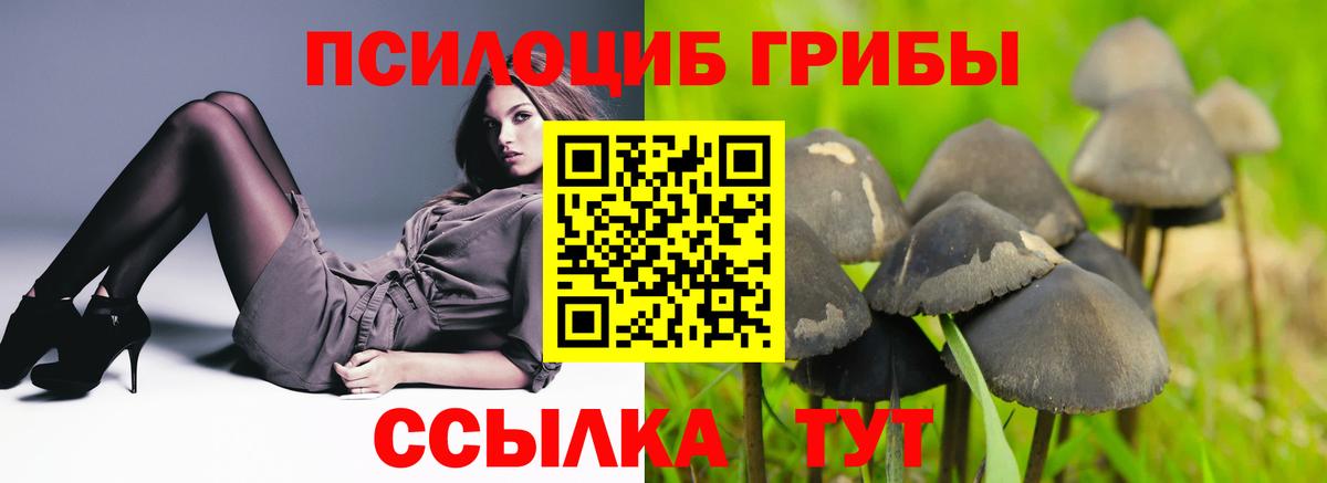 Псилоцибиновые грибы Cubensis Биробиджан